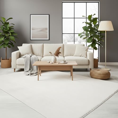 RUGURA Alfombra de Sal&oacute;n Dormitorio Habitaci&oacute;n Comedor Pelo Corto y Suave 120x170cm Crema Unicolor...