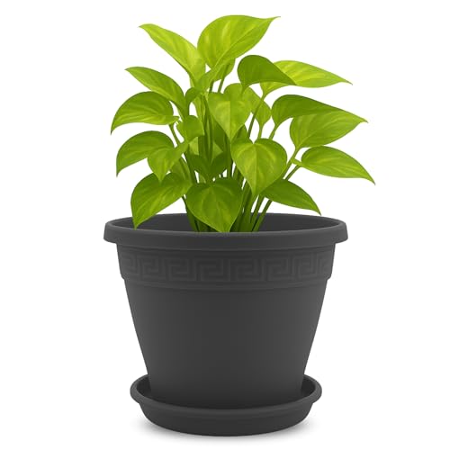 TECHZOCO Macetero con Plato, Maceta Redonda cl&aacute;sica de pl&aacute;stico con Plato, Tiesto para Plantas,...